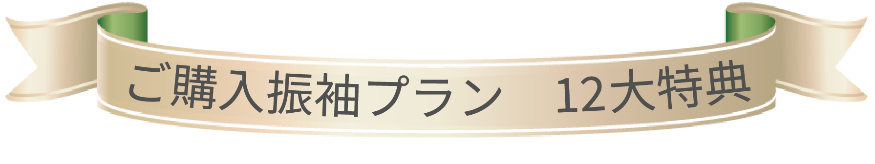 ご購入振袖プラン 12大特典